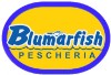 logo blumarfish