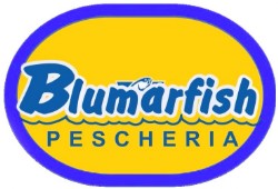 logo blumarfish